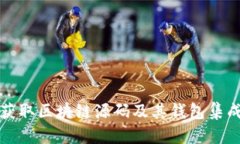 如何获取区块链源码及其钱包集成指南